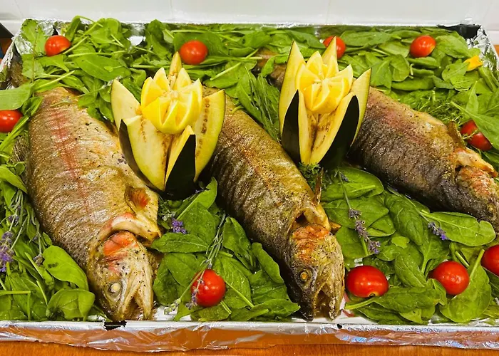 Queen Nelly Primorsko