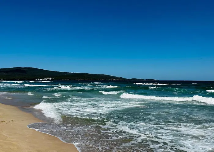 Queen Nelly 4* Primorsko